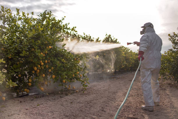 Best Pest Prevention Services  in Crystal, MN