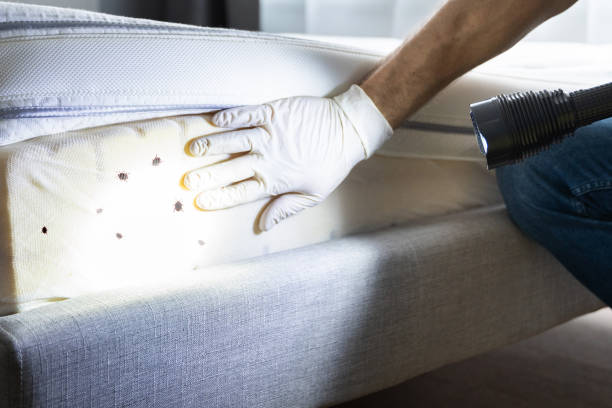 Best Pest Removal Services  in Crystal, MN