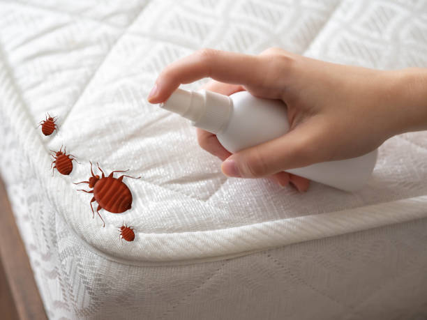 Best Exterminator Services  in Crystal, MN