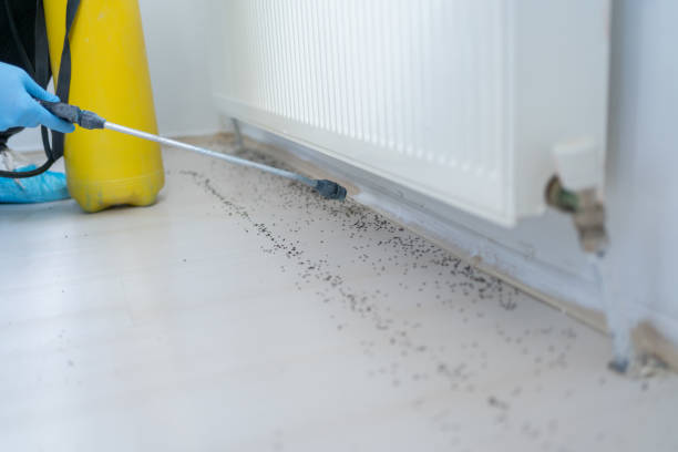 Best Best Pest Control Companies  in Crystal, MN