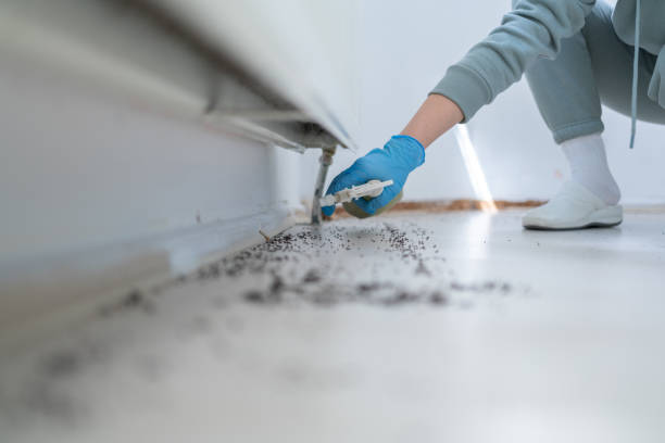 Crystal, MN Pest Control Company
