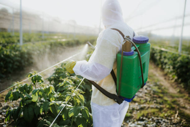 Best Rat Extermination Near Me  in Crystal, MN